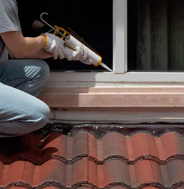 Roof Window Services in North Port, Florida