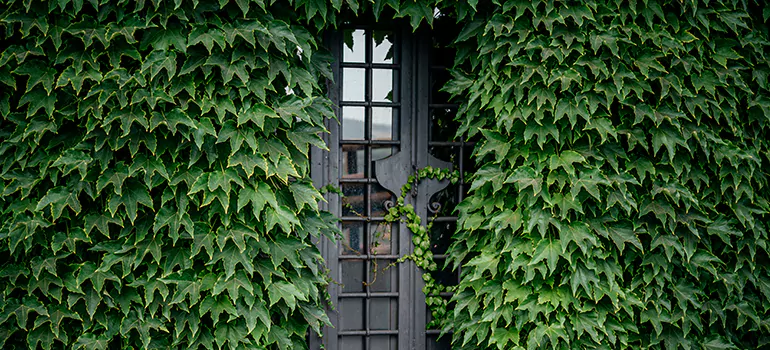 Garden Gate Repair in North Port, FL