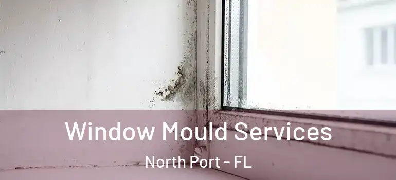  Window Mould Services North Port - FL